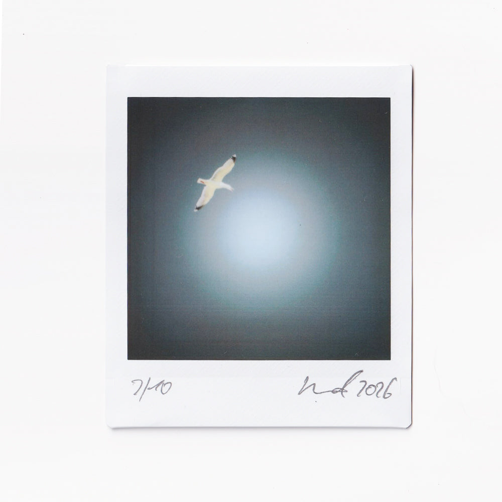 IX-2604-03 // Above Still