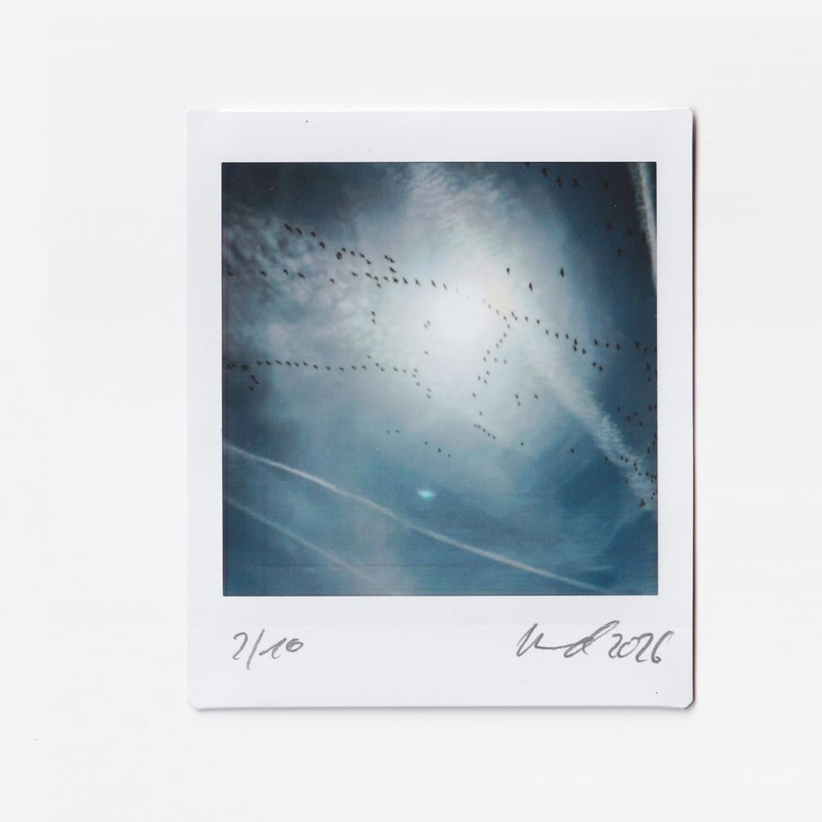 IX-2604-04 // Migration Lines