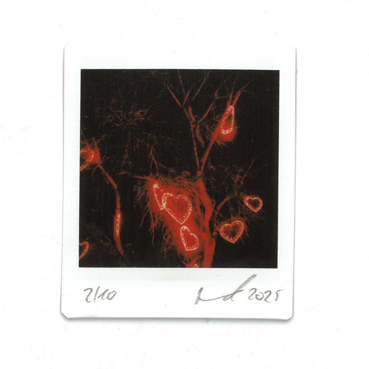 Hearts – JANEVRN Lightstains Instax Print